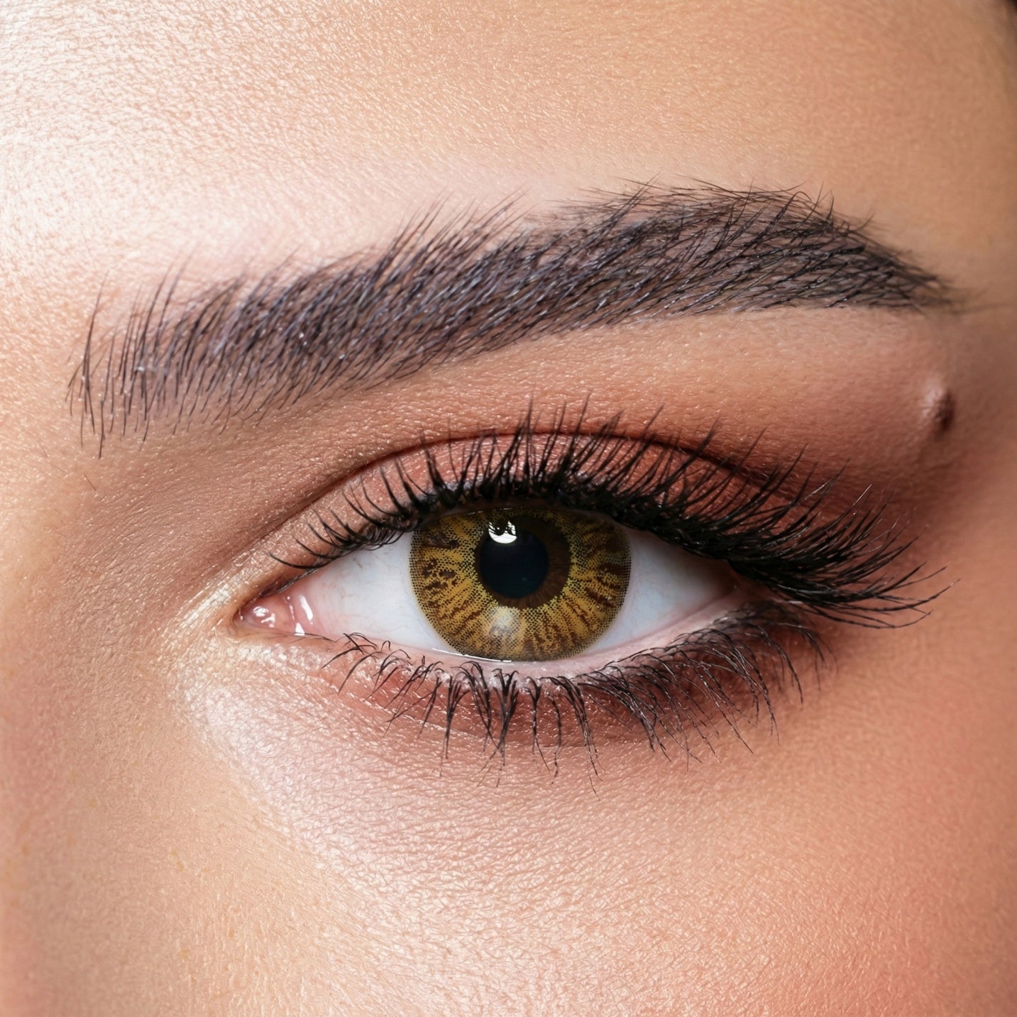 Bella Natural Cool Hazel