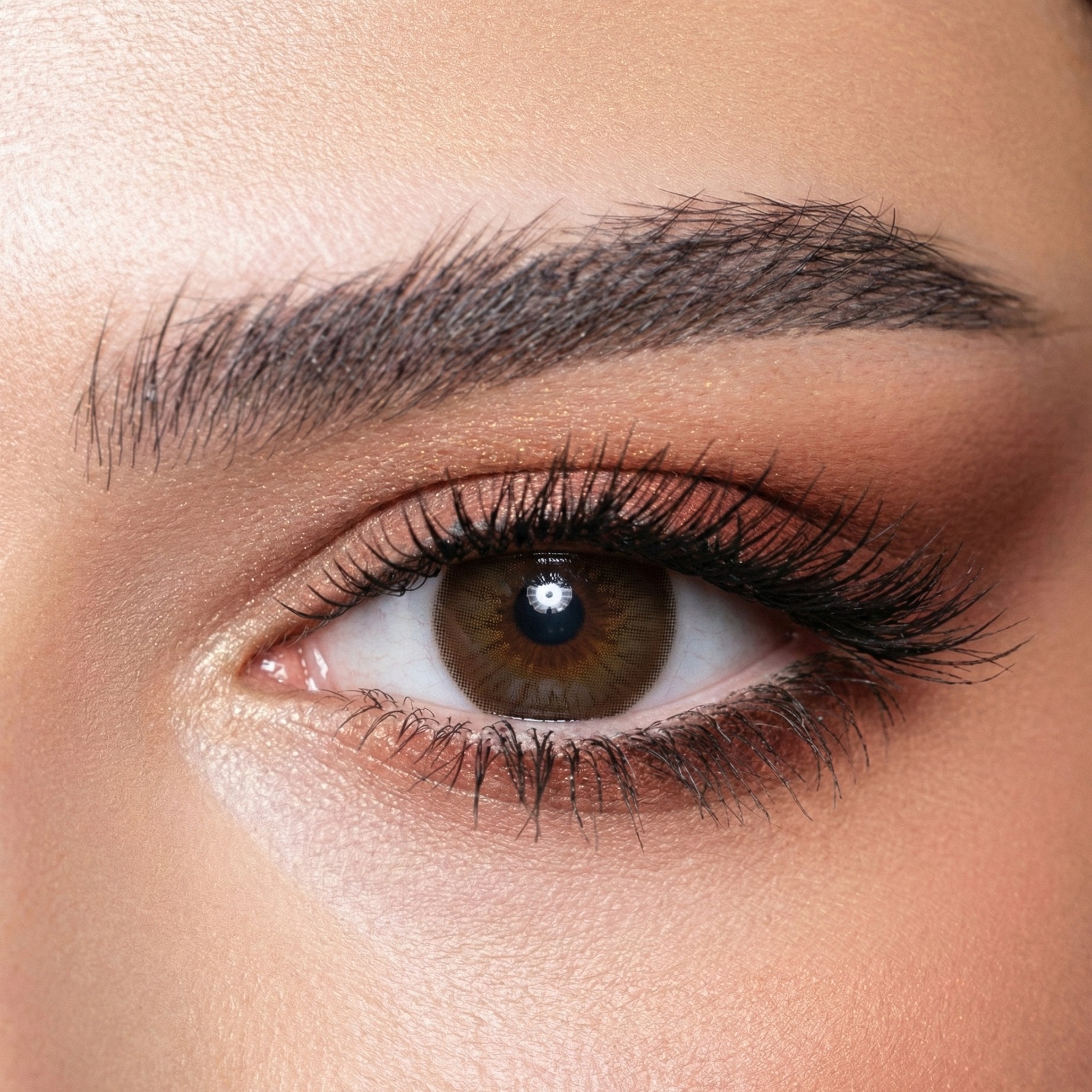 Bella Diamond Brown Shadow