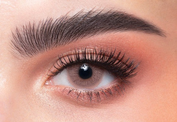 Marron Daily Contact Lenses