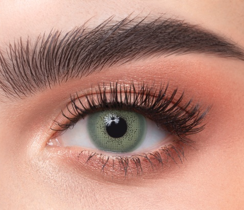 Mentha Daily Contact Lenses