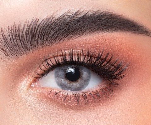 Hind Daily Contact Lenses