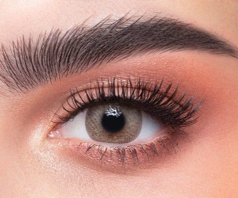Lumirere Brown Daily Contact Lenses