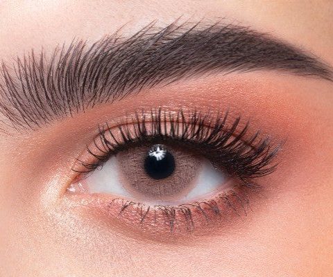 Marron Daily Contact Lenses
